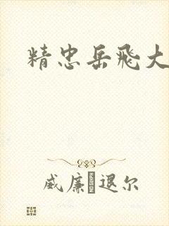 精忠岳飞大结局