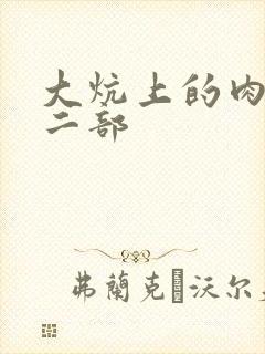 大炕上的肉伦第二部封面