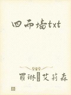 四面墙txt