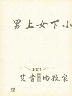 男上女下小说