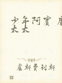 少年阿宾 房东太太封面