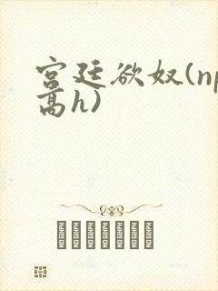 宫廷欲奴(np高h)