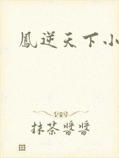 凤逆天下小说封面