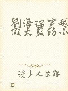 刘海瑞穿越后宫假太监的小说