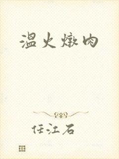 温火炖肉