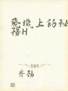 飞机上的秘密服务H封面