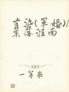 有染(军婚)/叶落淮南封面