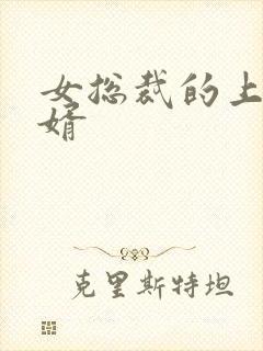 女总裁的上门女婿封面