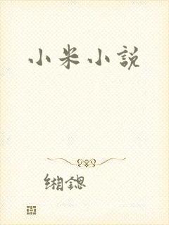 小米小说