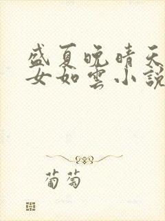 盛夏晚晴天之美女如云小说封面