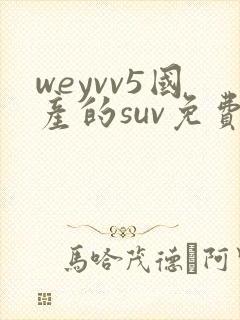 weyvv5国产的suv免费