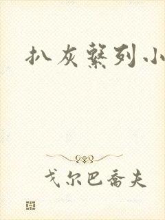 扒灰系列小说封面