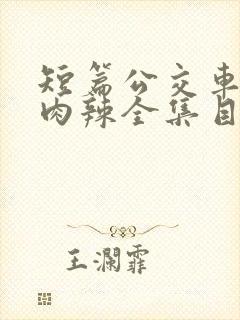 短篇公交车高h肉辣全集目录