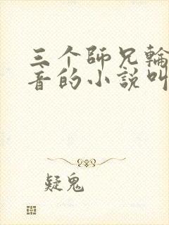 三个师兄轮流上音的小说叫什么封面