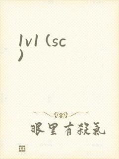1v1 (sc)封面