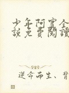 少年阿宾全文小说免费阅读笔趣阁