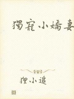 独宠小娇妻封面
