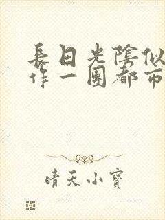 长日光阴似箭乱作一团都市言情