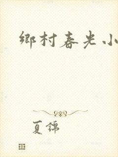乡村春光小说封面