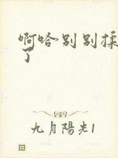 啊哈别别揉那处了