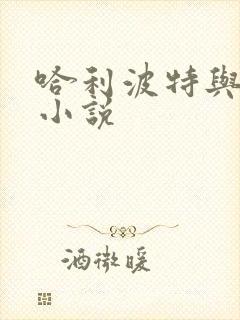 哈利波特与密室小说