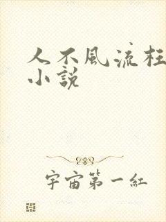 人不风流枉少年小说封面