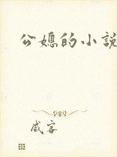 公媳的小说