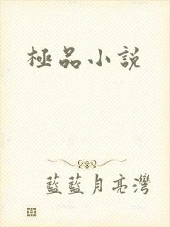极品小说