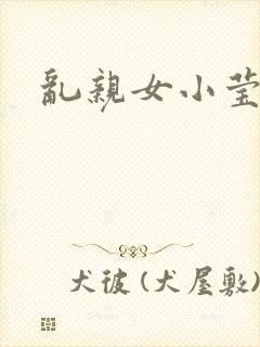 乱亲女小莹的泬