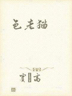 色老猫封面
