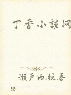 丁香小说网