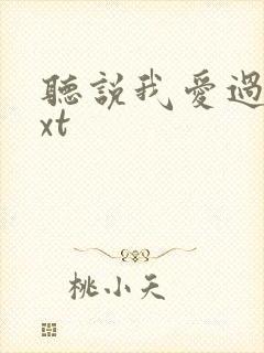 听说我爱过你txt