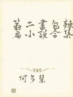 第二书包辣网短篇小说合集