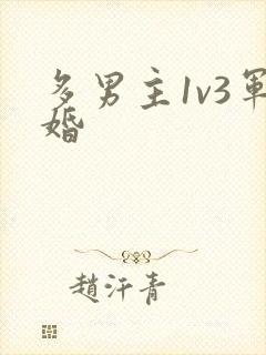 多男主1v3军婚封面