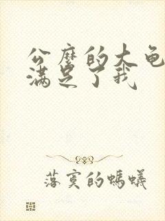 公么的大龟强大满足了我