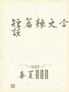 短篇辣文合集小说