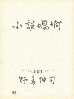 小说嗯啊