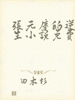 张元庆的逆袭人生小说免费阅读封面