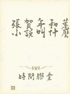 张贺年和叶繁姿小说叫什么名字