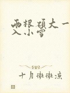 两根硕大一起挤入小雪