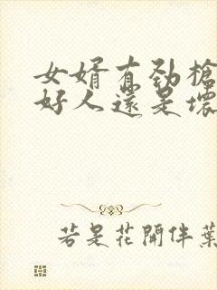 女婿有劲枪枪是好人还是坏人