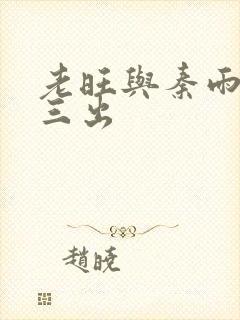 老旺与秦雨三进三出封面