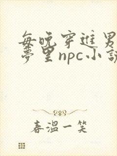 每晚穿进男神的梦里npc小说