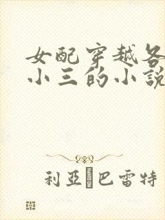 女配穿越各个做小三的小说