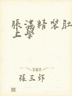 胀满精装肚子去上学封面