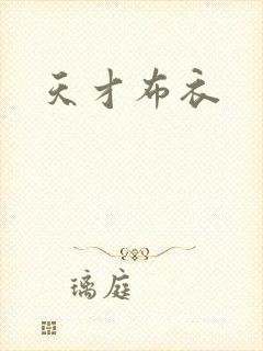 天才布衣封面