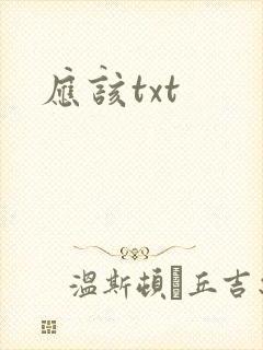 应该txt