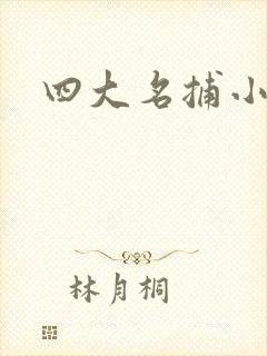 四大名捕小说