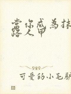 当你成为抹布文路人甲封面