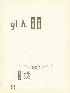 gl h С˵封面